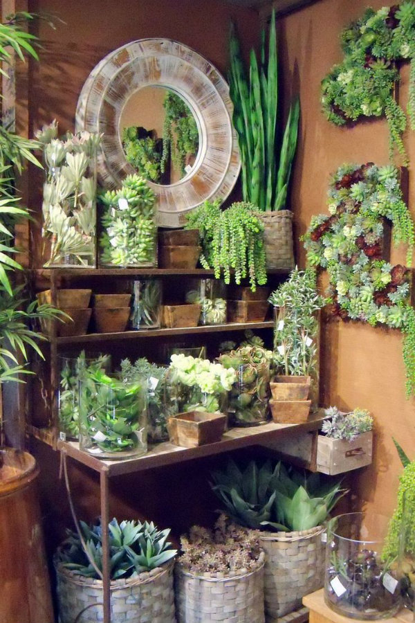 Inspiration for balcony, courtyard and small space gardening.