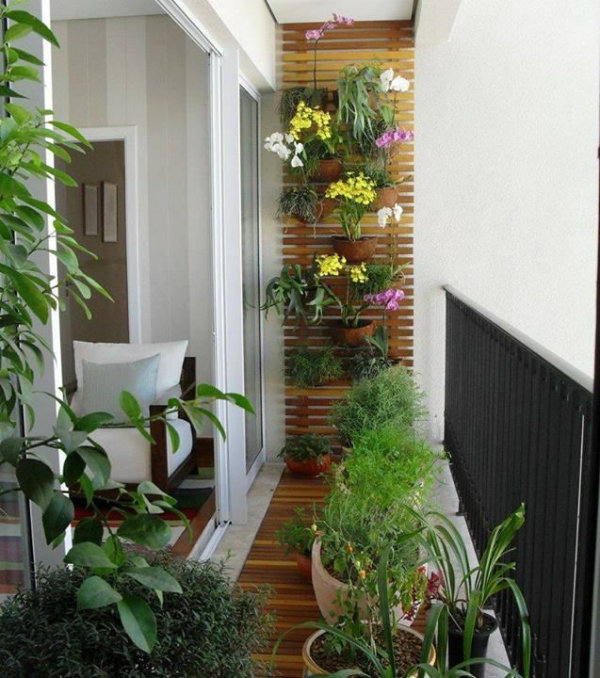Inspiration for balcony, courtyard and small space gardening.
