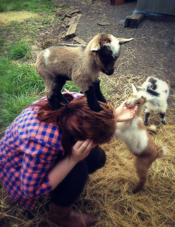 goat standing on woman