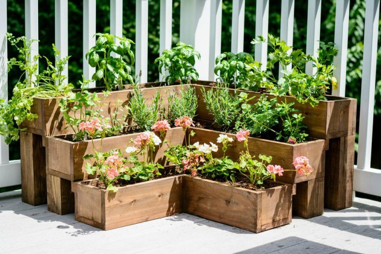 herb garden