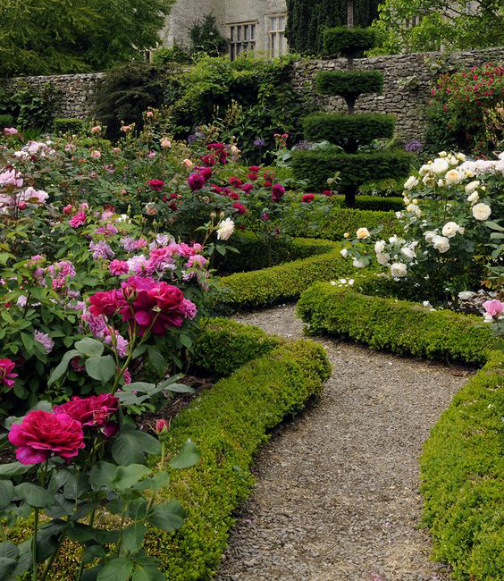 romantic flowers