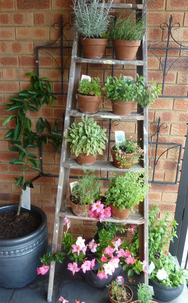Inspiration for balcony, courtyard and small space gardening.