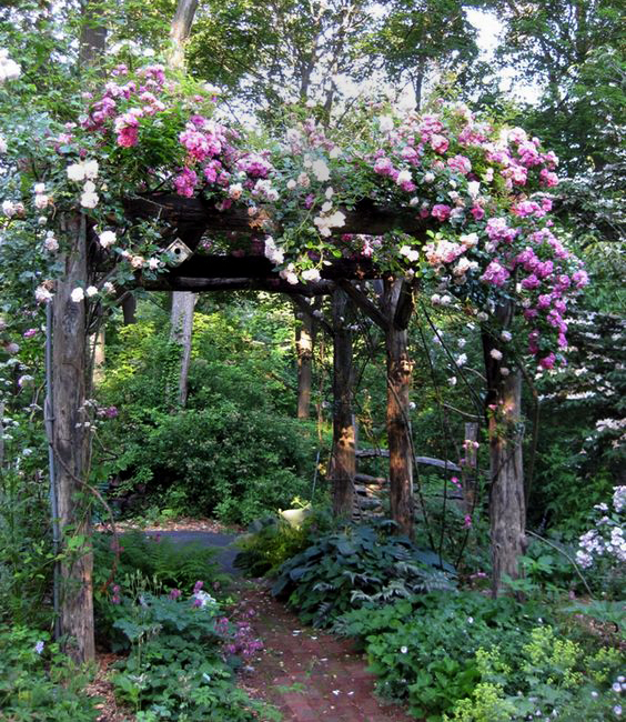 garden arch with flowers