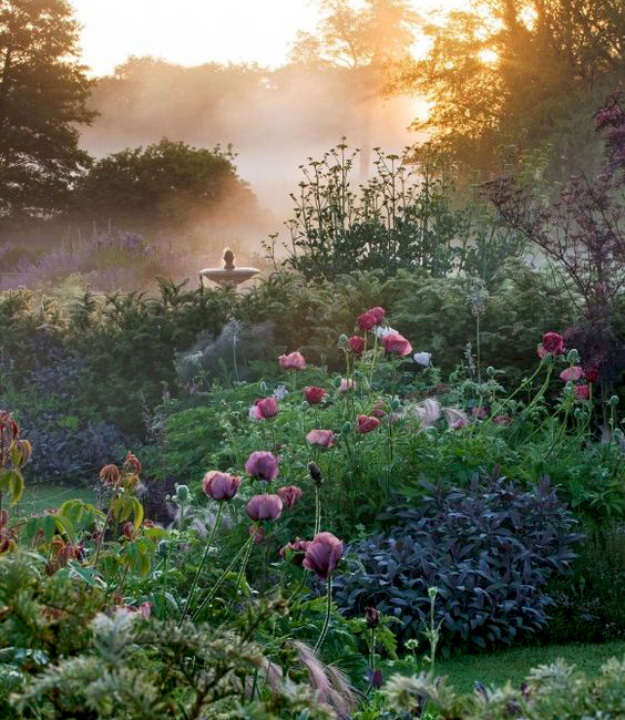 beautiful garden