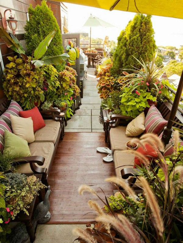 Inspiration for balcony, courtyard and small space gardening.