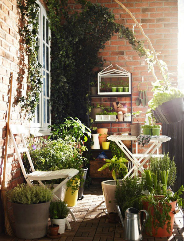 Inspiration for balcony, courtyard and small space gardening.