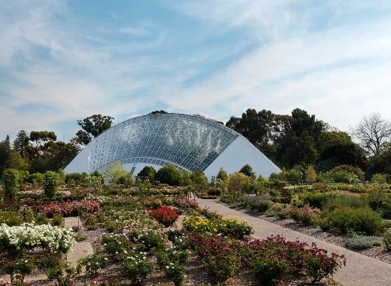 Adelaide Botanic Garden, Adelaide - SA