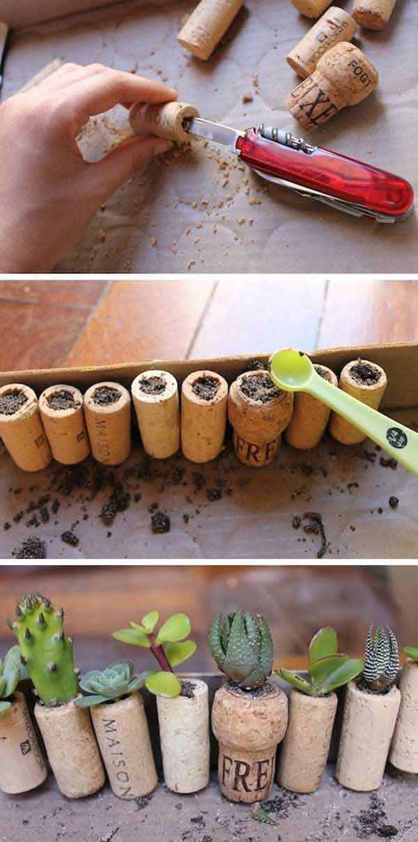 Cork Screws for Pot Plants