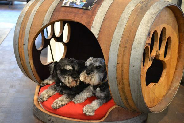 Wine barrel dog bed