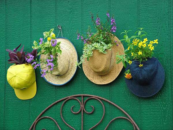 Hats for Pot Plants