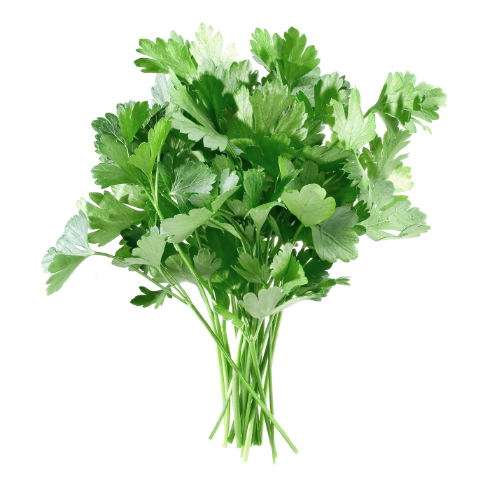 Parsley for growing your own kitchen herb garden