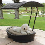 Dog bed with shade cover - Keep Your Pets Cool This Summer
