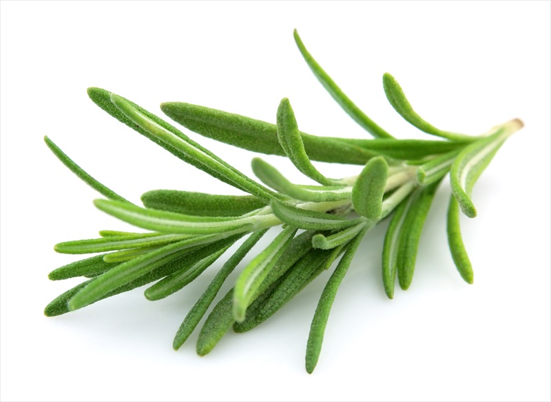 Rosemary