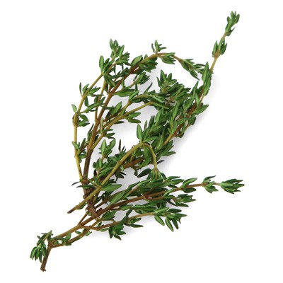 Thyme for growing your own kitchen herb garden
