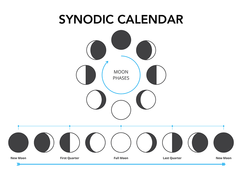 Synodic calendar