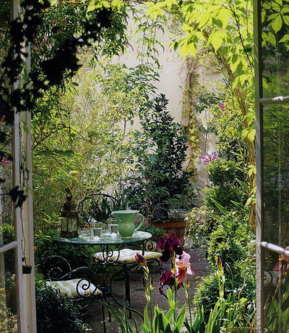 garden view from window