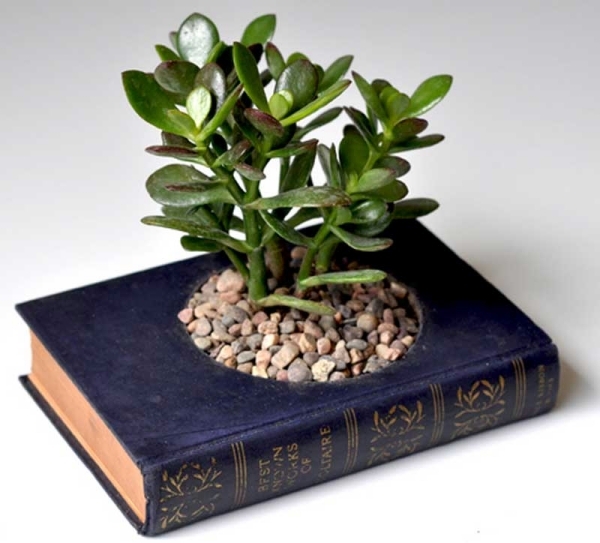 Book for pot plant