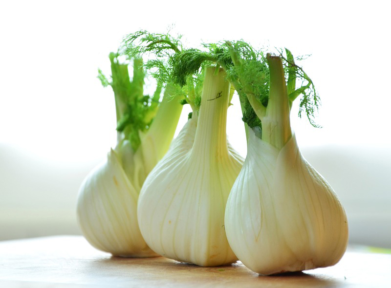 Fennel