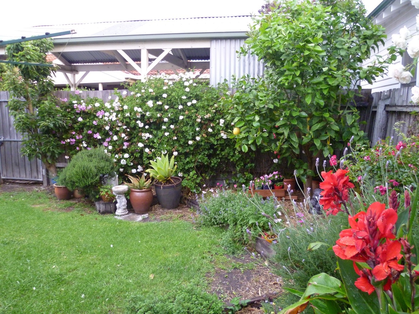 garden