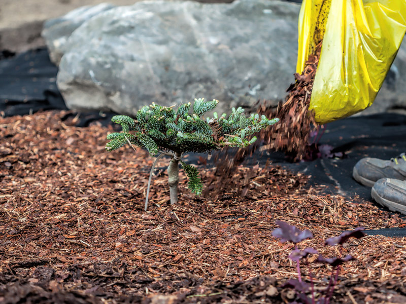 mulching