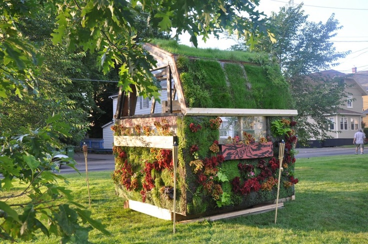 shed completly covered in plants