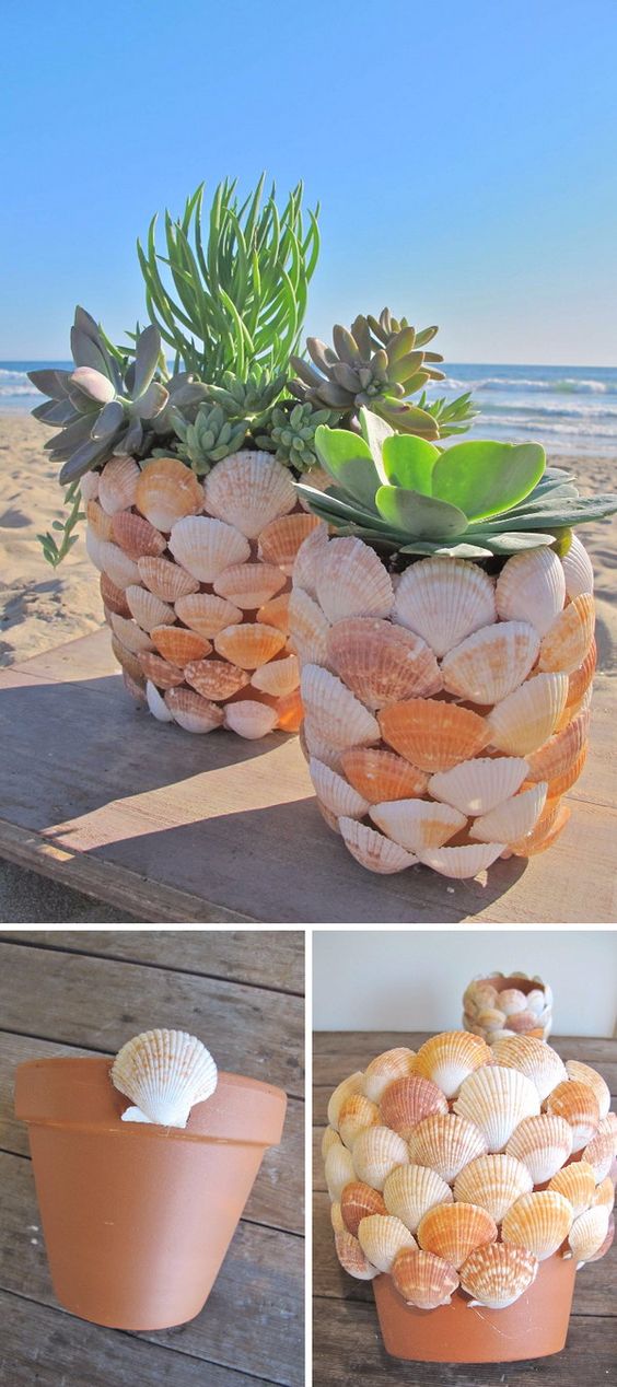 Beautiful shell pot plant ornaments to decorate your garden