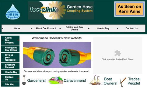 2008 Website Screenshot