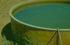 Bore Water