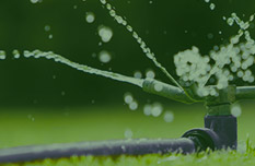Recycled Water