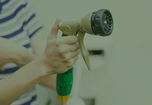 Spray Guns